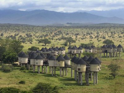 Photo of 1 ½ DAYS TAITA HILLS – SALTLICK