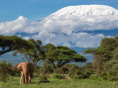 Amboseli