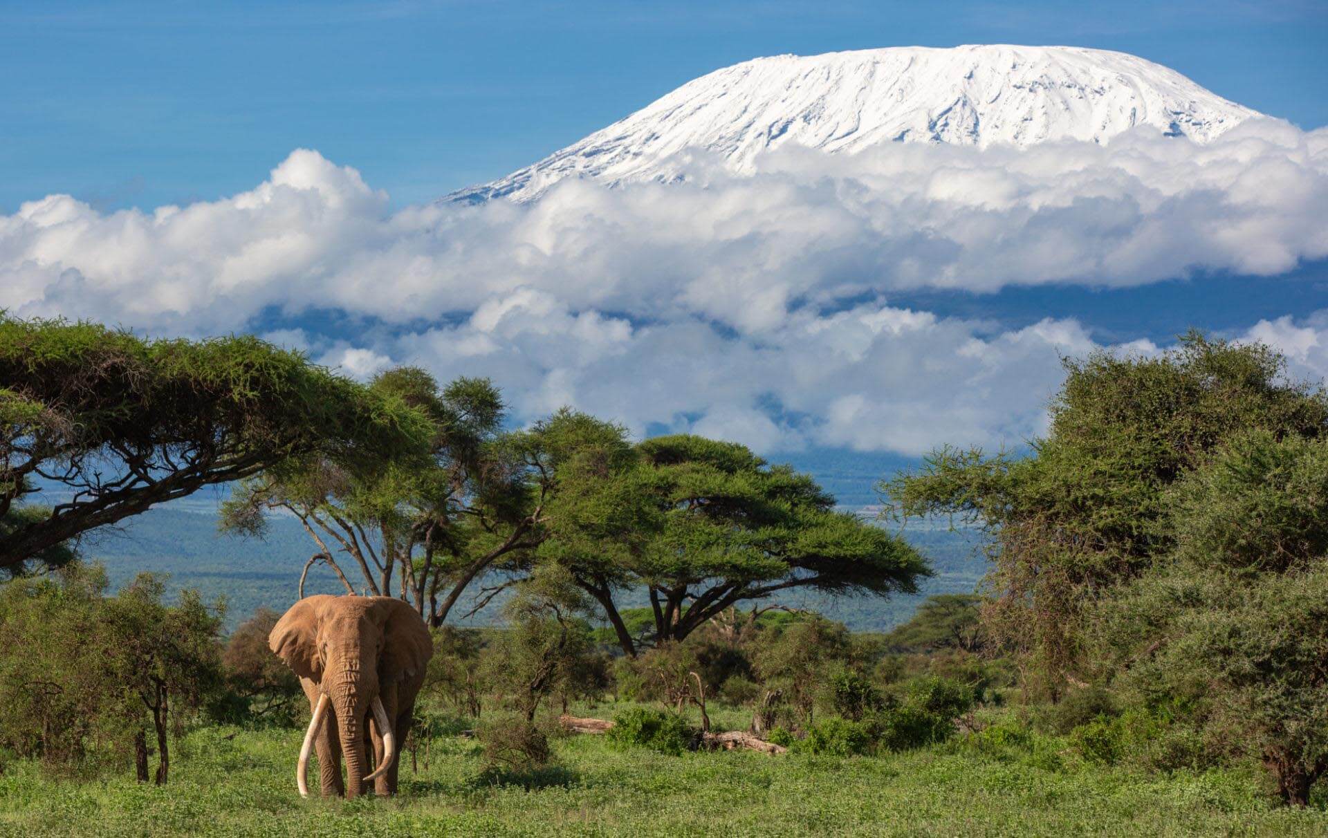 Kenya ❤️ the freedom