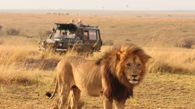 Maasai Mara