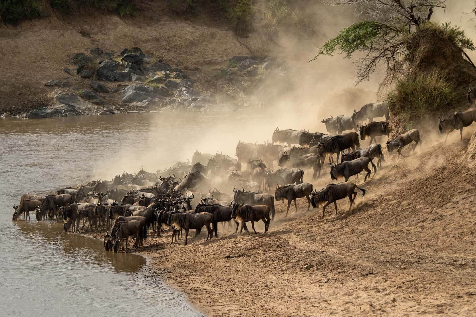 Kenya ❤️ the freedom